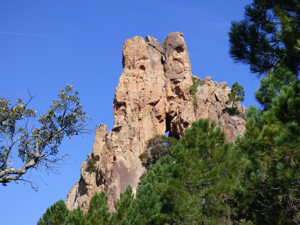 Chambres D'Hotes Vue Mer L'Esterel Panoramique Saint-Jean-de-l'Esterel Экстерьер фото